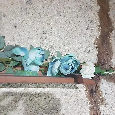 Casa Arona * Arona