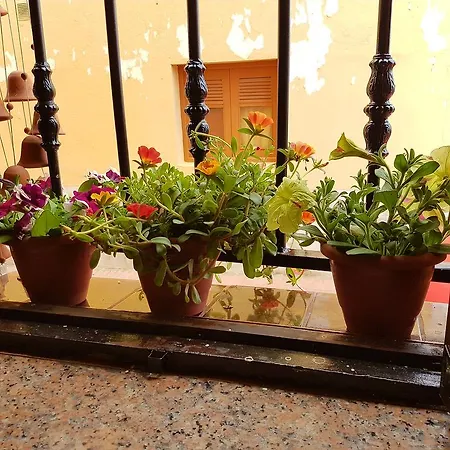 Nyaraló Casa Arona Arona