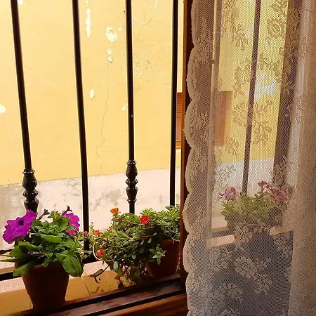 Casa Arona * Arona